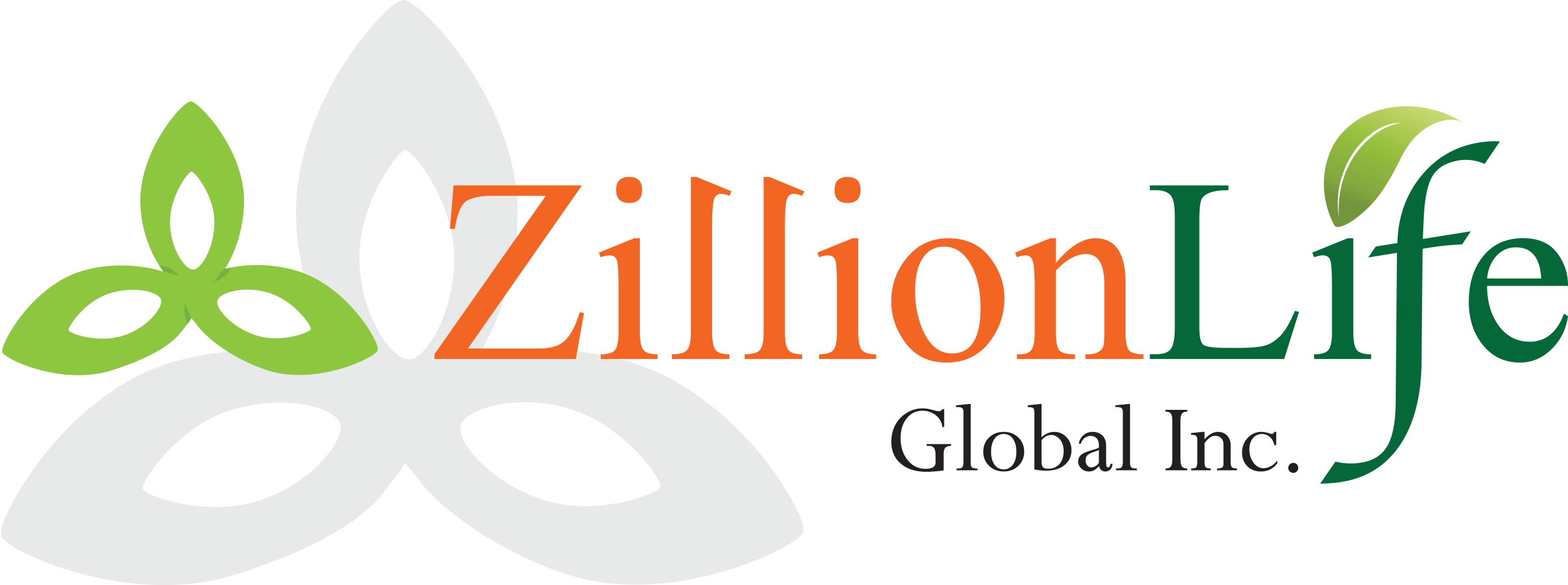 ZillionLife